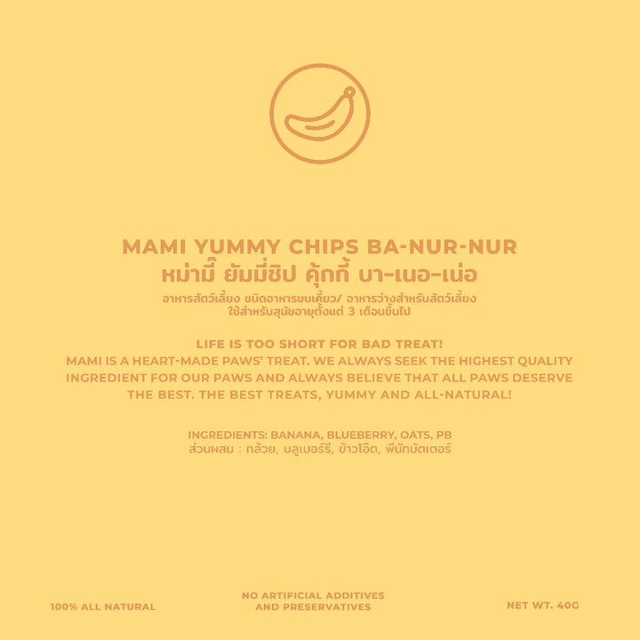 Ba-nur-nur Yummy Chips