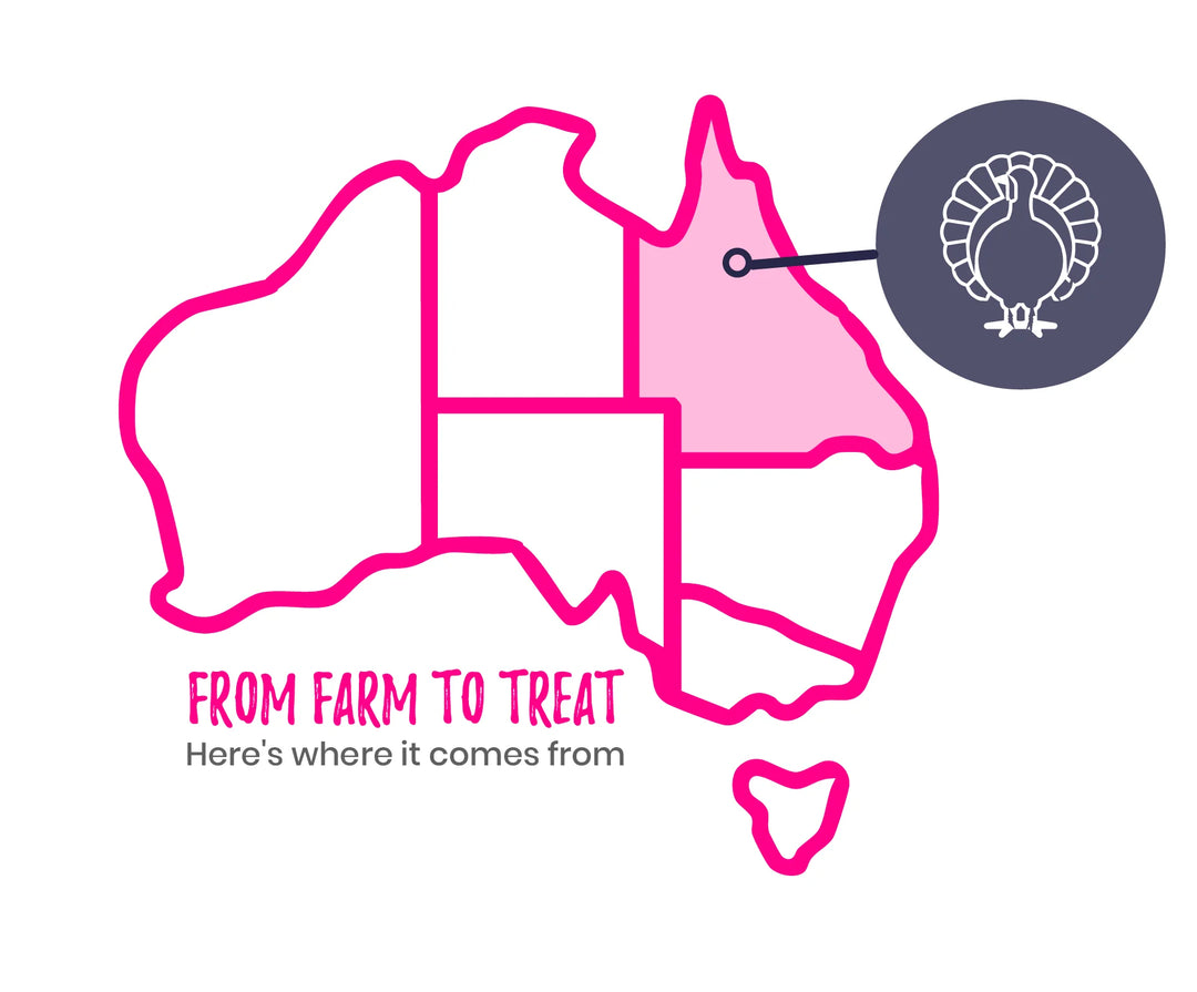 Freeze Dried Turkey Treats