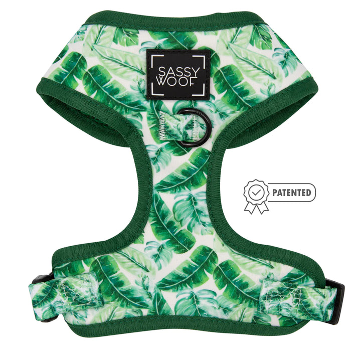 Adjustable Dog Harness | Verano