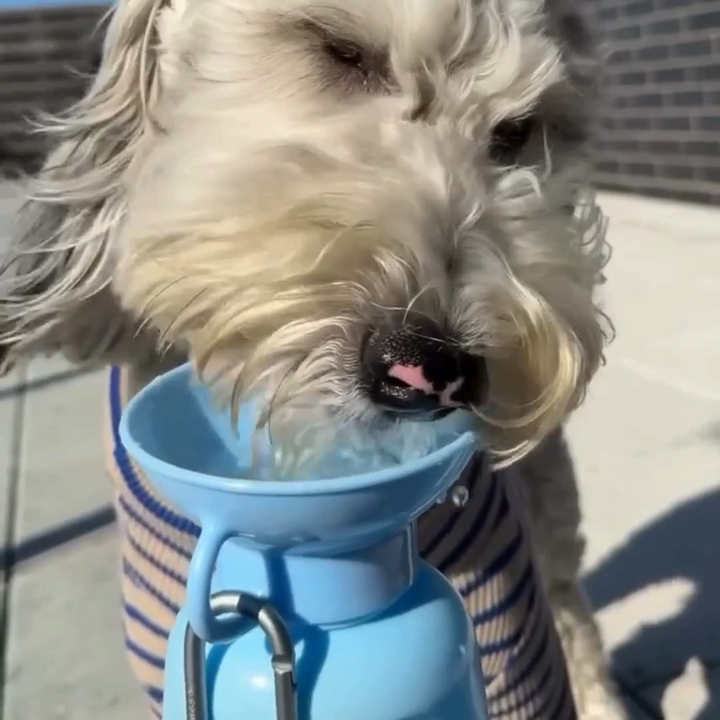 22oz Original Dog Travel Water Bottle