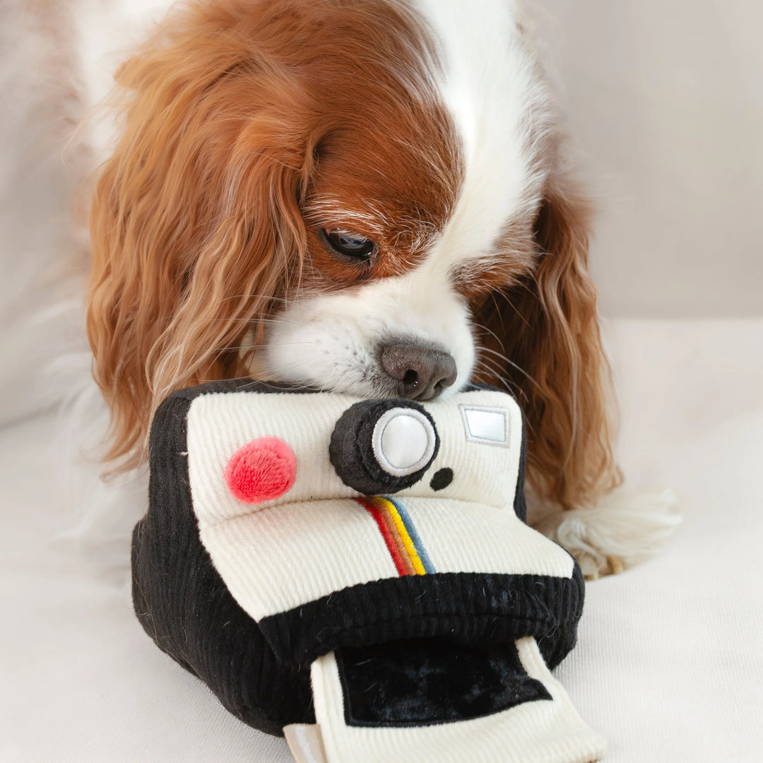 Instant Camera