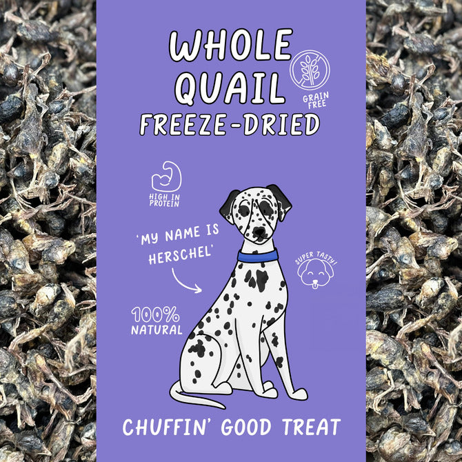 Freeze-Dried Whole Baby Quail