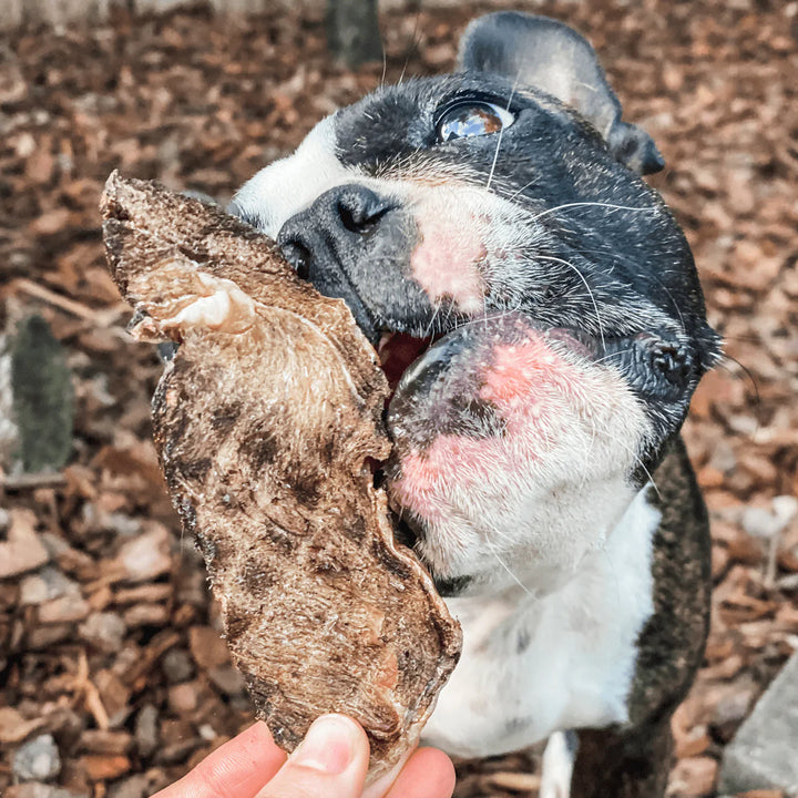 Go Bonkers - Venison Jerky