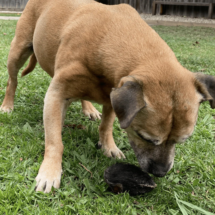 CHEW ON THIS! - BEEF JERKY