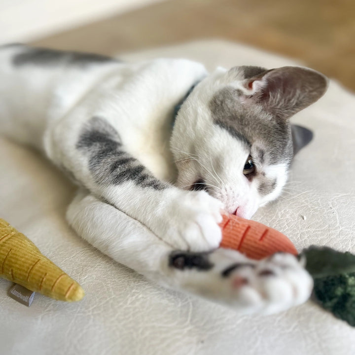Kitty Baby Carrots
