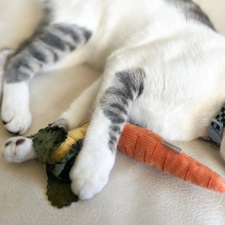 Kitty Baby Carrots