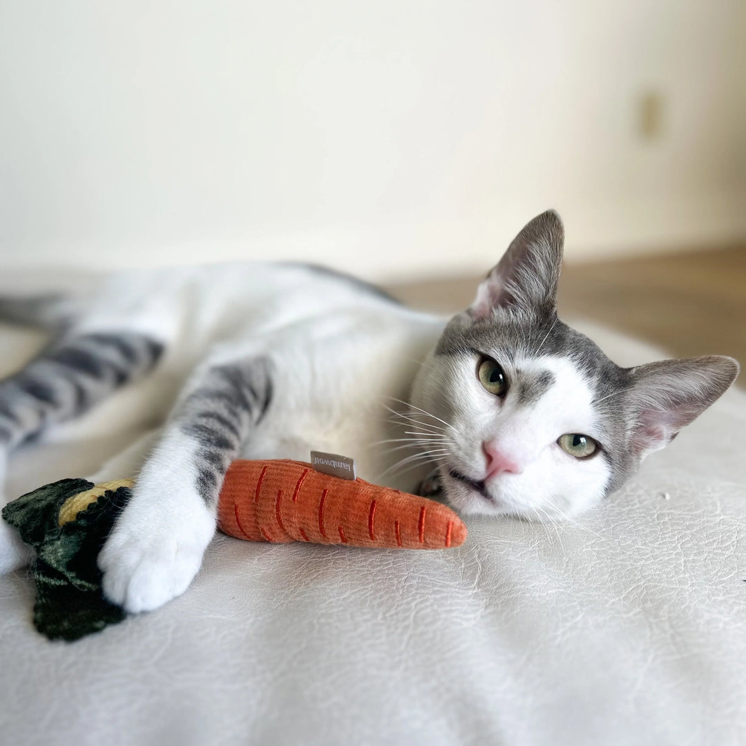 Kitty Baby Carrots