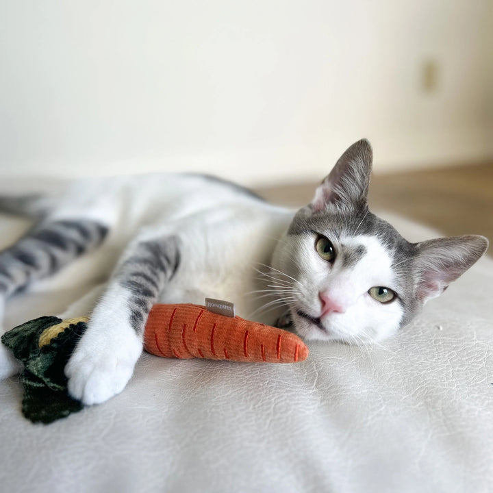 Kitty Baby Carrots